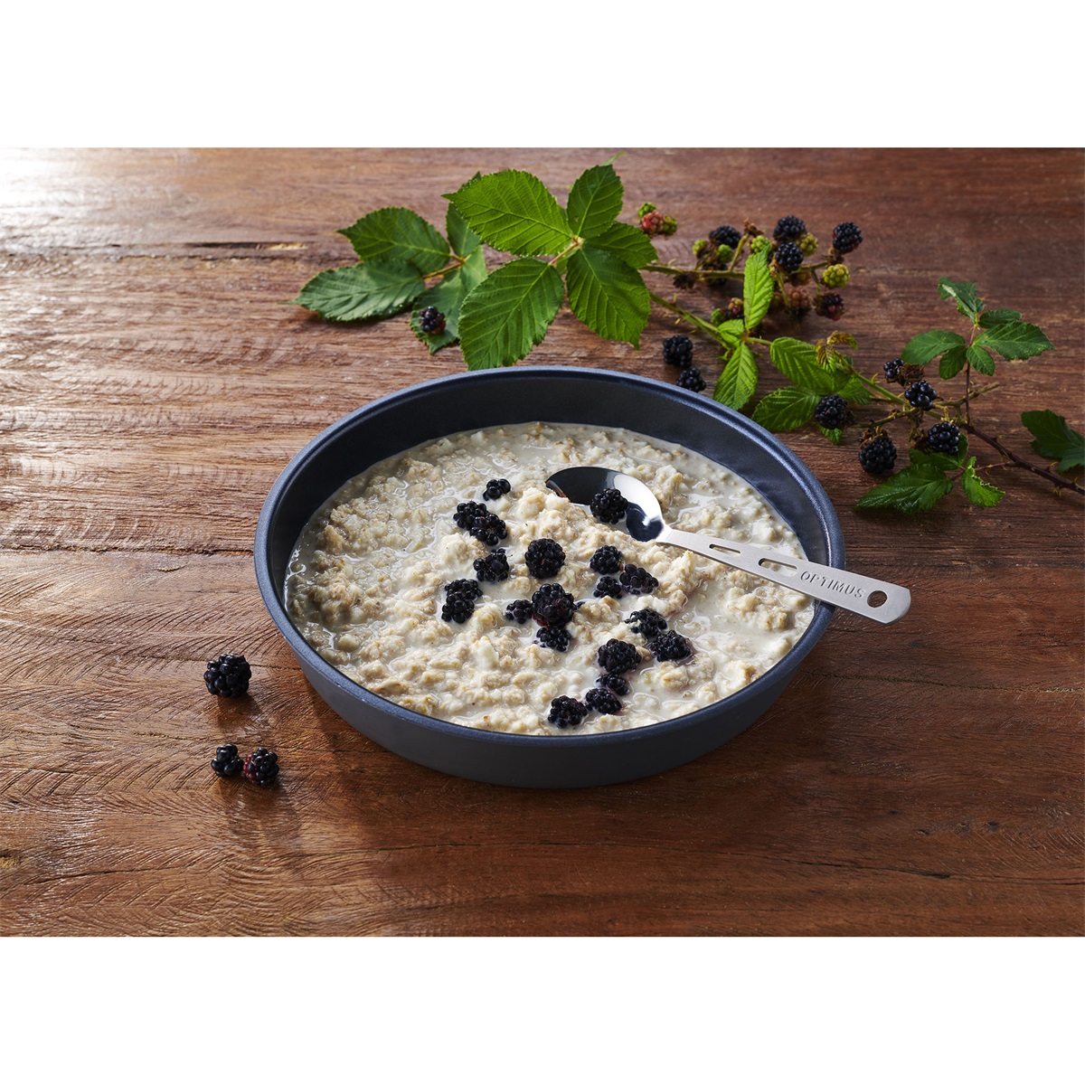 Trek'n Eat Emergency Food Protein Porridge – image 2