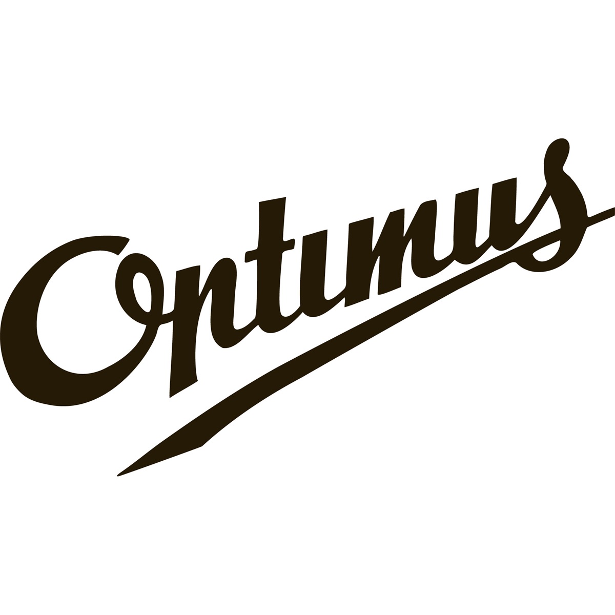 Optimus Polaris Optifuel + Fuel Bottle 1L Black – image 7